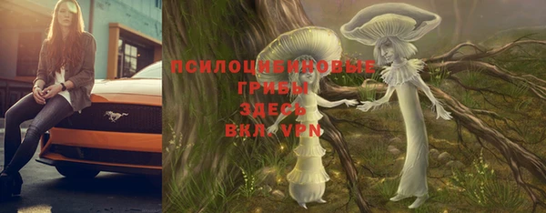 ALPHA PVP Гусь-Хрустальный
