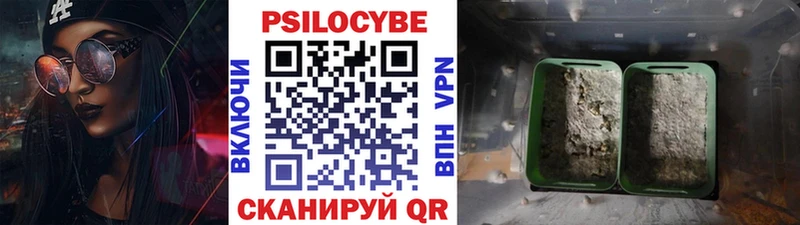 Галлюциногенные грибы мицелий  блэк спрут tor  Керчь  купить  цена 